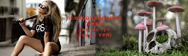 круглые Бронницы